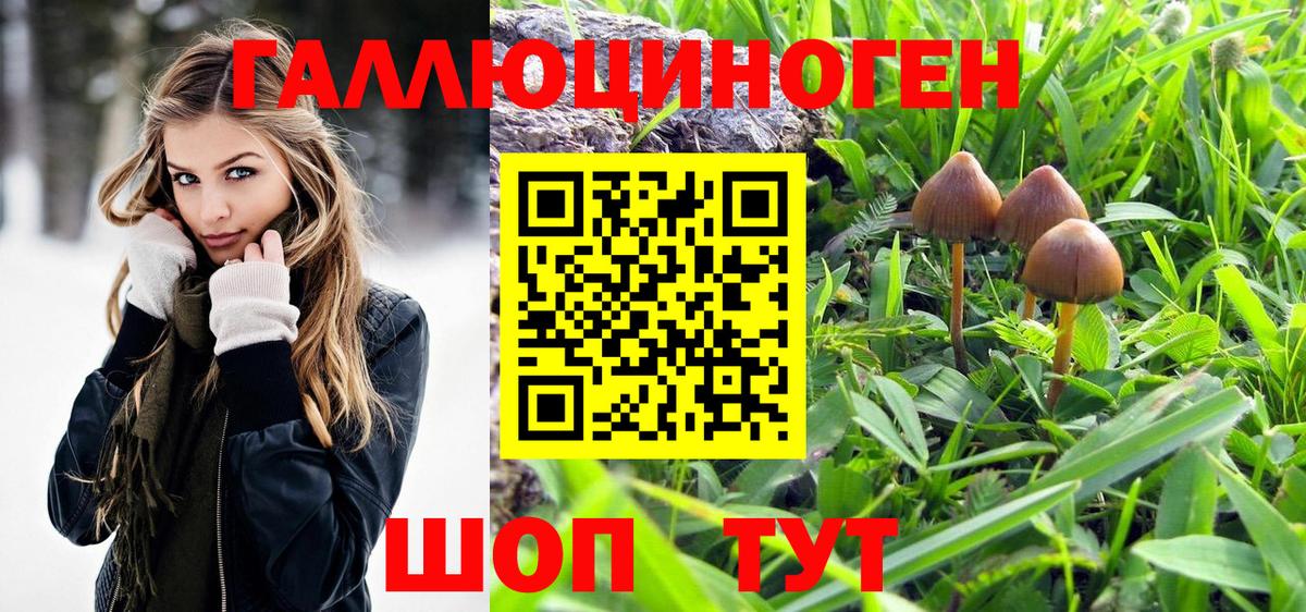 Галлюциногенные грибы прущие грибы  Псилоцибиновые грибы мицелий  Химки  Вход с VPN 